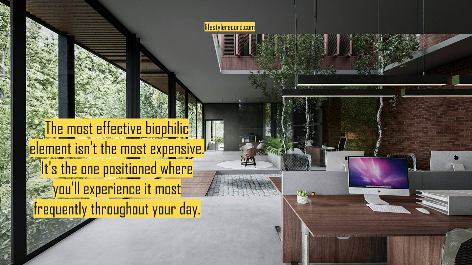 Biophilic Design on a Budget: Transform Any Room into a Stress-Reducing Natural Haven Without Renovation